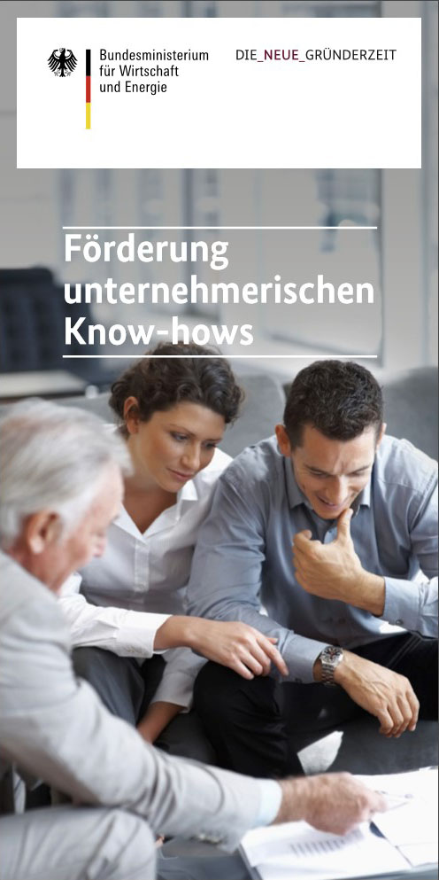 BAFA Flyer Unternehmensberatung